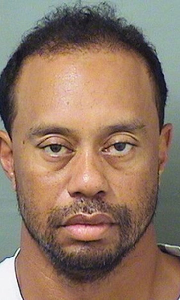 Column: For Tiger Woods, a picture says it all